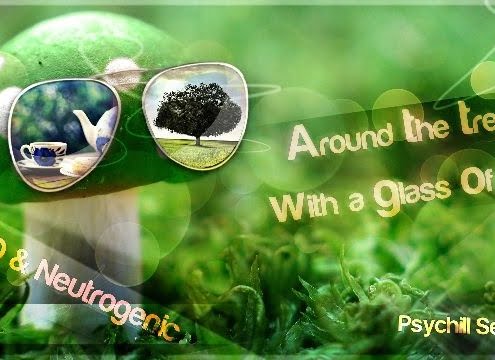 U.F.O and Neutrogenic - Around The Tree with a Glass of Tea - Psydub Set - 2012