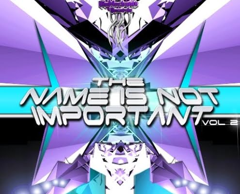 VA-The Name_is_not_important_Vol_2