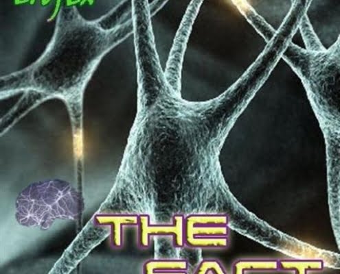 Erofex - The Fact - Album 2005