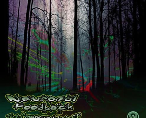 Neuronal Feedback - The Compound Lab