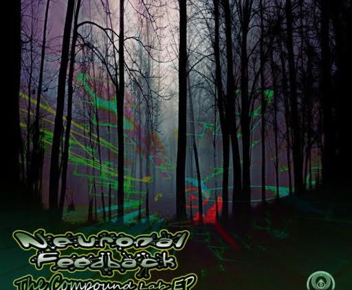 Neuronal Feedback - The Compound Lab