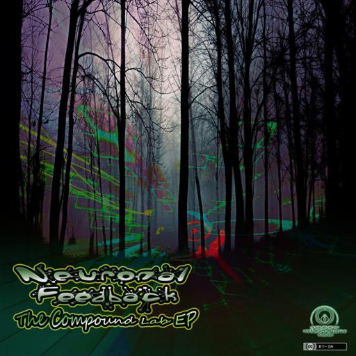 Neuronal Feedback - The Compound Lab