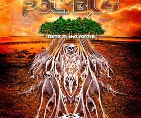 PolyBius - Rising in the Forest