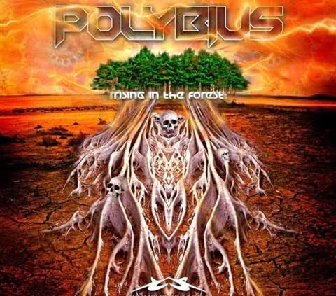PolyBius - Rising in the Forest