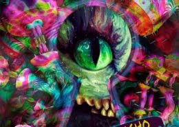 Tympanik - Psyco In Wonderland