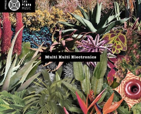 VA - Multi Kulti Electronics