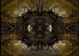 Hypnotizer Tripnotizer web