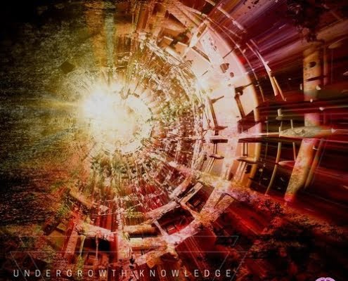 Neurogrid and Thalamus - Undergrowth Knowledge - Neurotrance Records