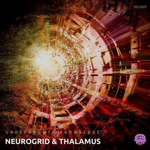 Neurogrid and Thalamus - Undergrowth Knowledge - Neurotrance Records