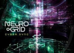 Neurogrid - CyberSync