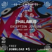 THALAMUS - Exception Joyeuse (Mario Kart Remix)
