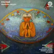 Pachak – Shaman Valley – 2024 artwork-web Pachak - Shaman Valley - Neurotrance Records 2024