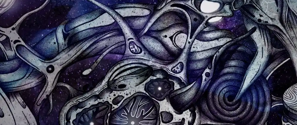 VA - Radar - Neurotrance Records 2025